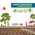Climate Change Impacts on Maharashtra Agriculture