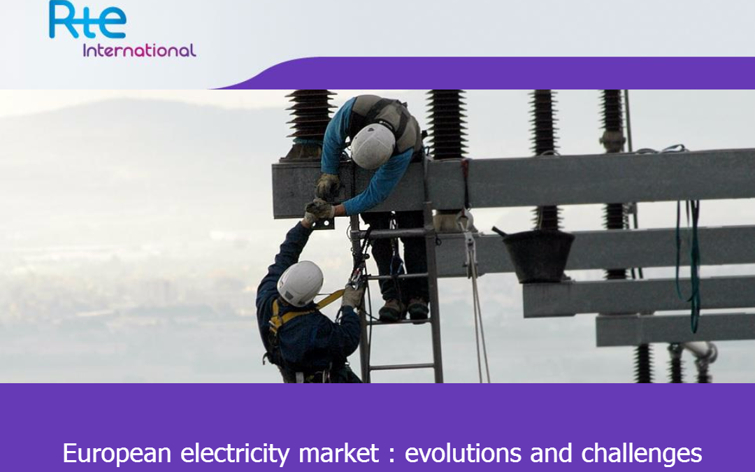 European electricity market: evolutions and challenges