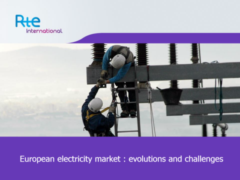 European electricity market: evolutions and challenges