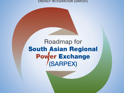 SARPEX road-map