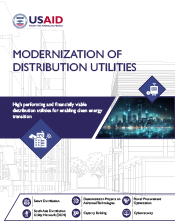 Modernization of Distribution Utilities