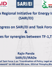 Progress on SARI/EI and Task Force