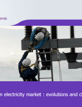 European electricity market: evolutions and challenges