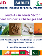 South Asia: Shaping the New Paradigm for Growth -SARI/EI and SAARC Chamber of Commerce Workshop