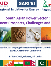 South Asia: Shaping the New Paradigm for Growth -SARI/EI and SAARC Chamber of Commerce Workshop